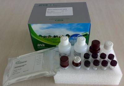 【小鼠凝血酶抗凝血酶复合物(TAT)ELISA Kit】 -